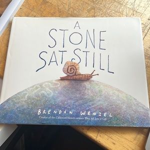 Children book called, A stone Sat Still